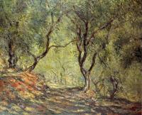 Monet, Claude Oscar - The Olive Tree Wood in the Moreno Garden